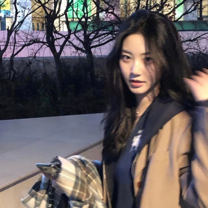 女人的日历